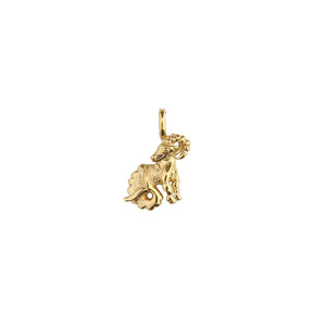 ZODIAC Capricorn Pendant