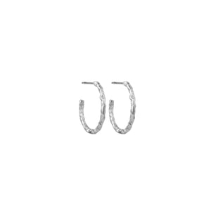 Roa Medium Hoop
